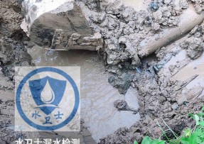 桃山区水管漏水检测公司5